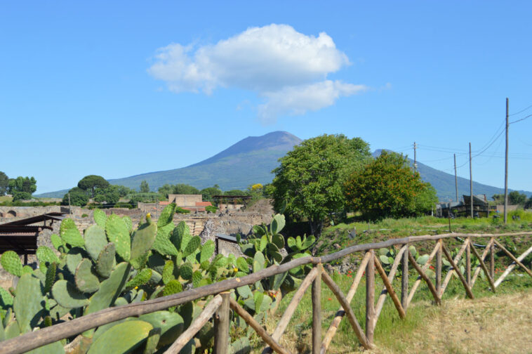 Nopales en Nápoles