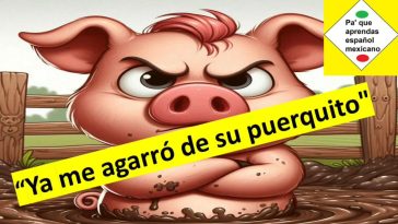 Ya me agarraron de su puerquito