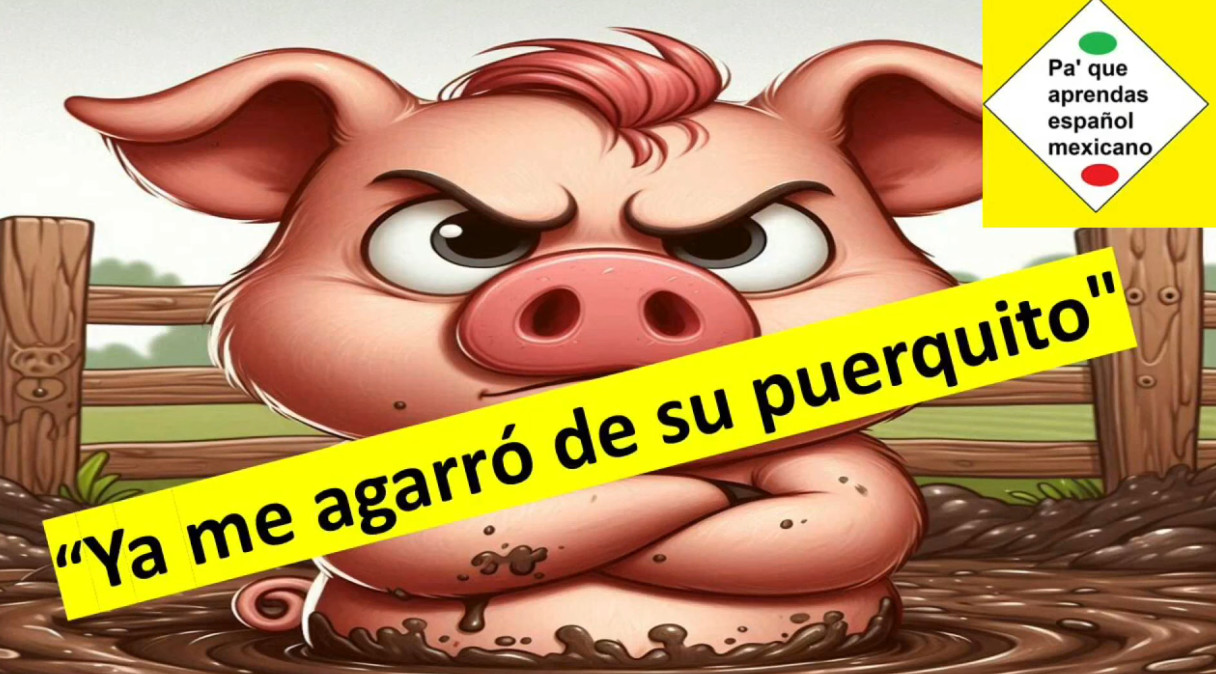 Ya me agarraron de su puerquito