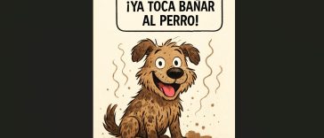 ya toca bañar al perro