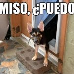 Con permiso, puedo pasar?