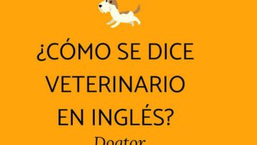 dogtor